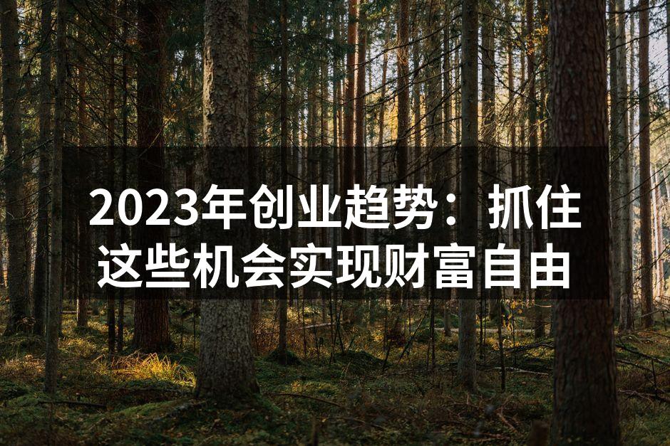 数字化转型助力创业者