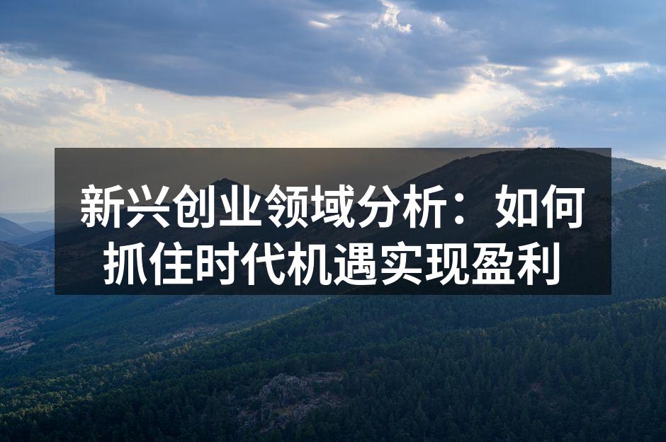 数字化转型助力创业新机遇